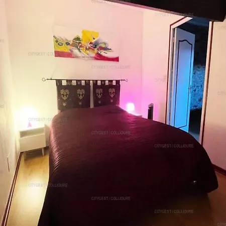 Daire 4 For 6 People Collioure